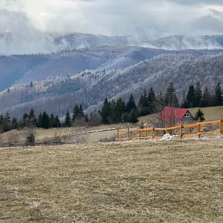 Holiday home Mariseltinyhouse *